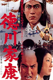 Lord Tokugawa Ieyasu' Poster