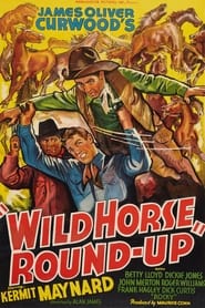 Wild Horse RoundUp' Poster
