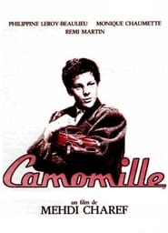 Camomille' Poster