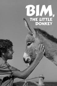Bim the Little Donkey
