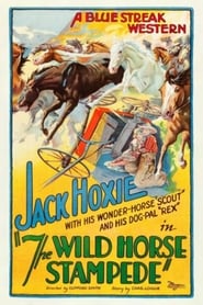 The Wild Horse Stampede' Poster