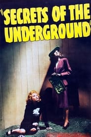 Secrets of the Underground' Poster