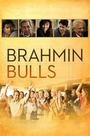 Brahmin Bulls Poster