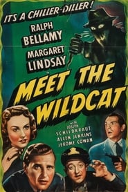 Meet the Wildcat' Poster