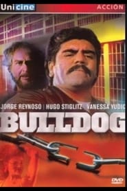 Bulldog' Poster