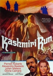 The Kashmiri Run' Poster