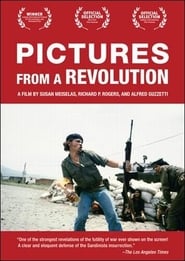Pictures from a Revolution