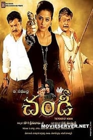Chandi The Power of Woman' Poster