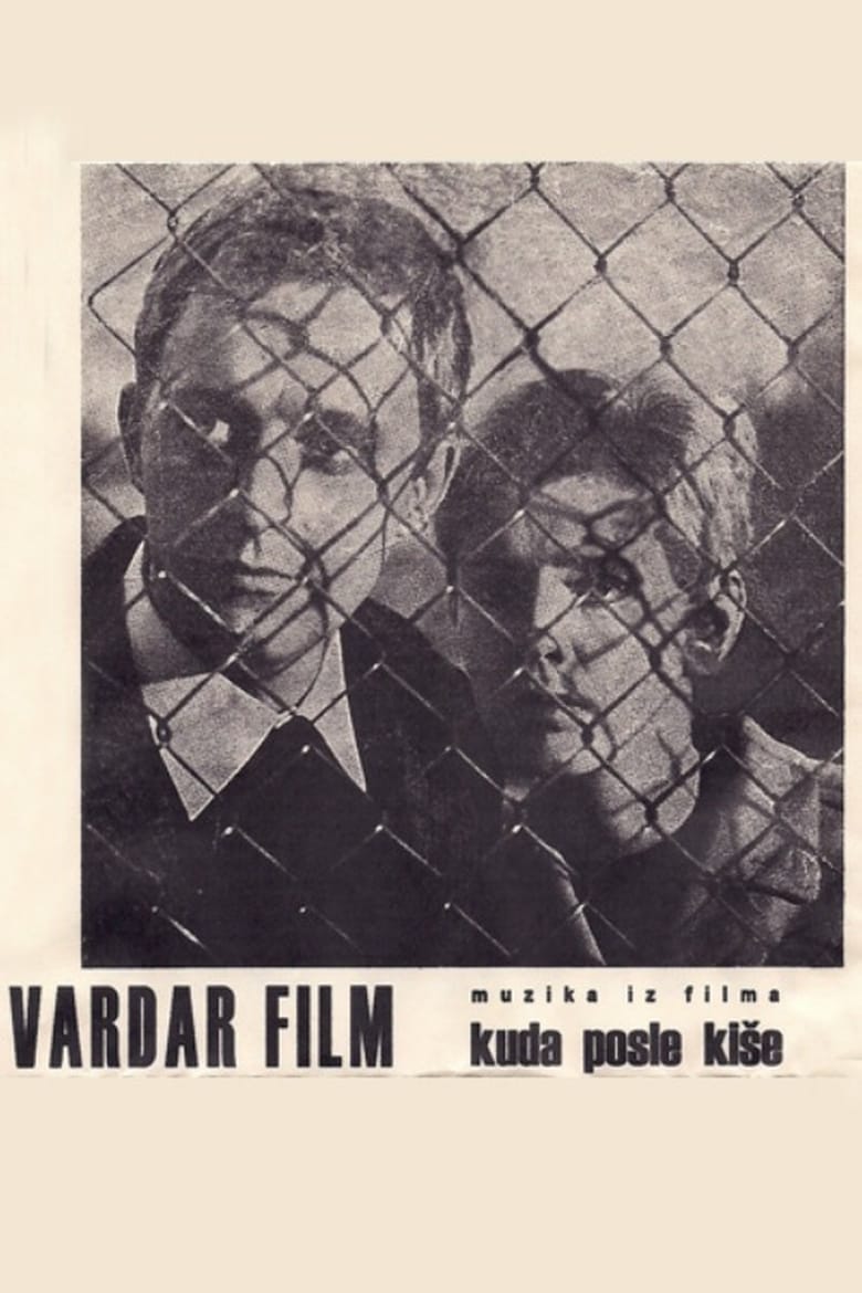 Where to After the Rain? Poster