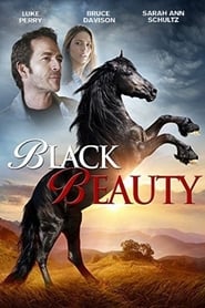 Black Beauty' Poster