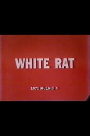 White Rat' Poster