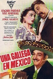 Una gallega en Mxico' Poster