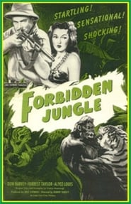 Forbidden Jungle' Poster