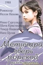Metichara' Poster