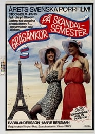 Crazy Swedish Holidays in Paris' Poster