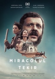 The Miracle of Tekir' Poster