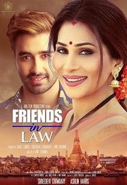 Friends in Law' Poster