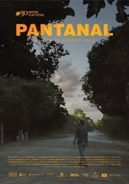 Pantanal' Poster