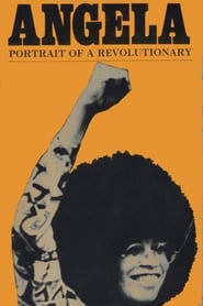 Angela Davis Portrait of a Revolutionary