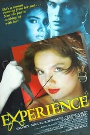 Experience' Poster