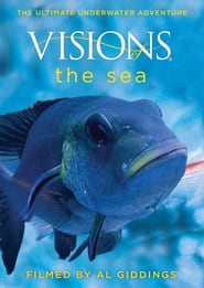 Visions of the Sea' Poster