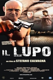 Il Lupo' Poster