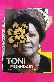 Streaming sources forToni Morrison The Pieces I Am