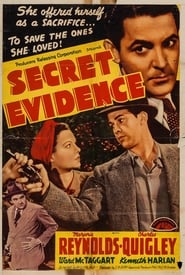 Secret Evidence' Poster