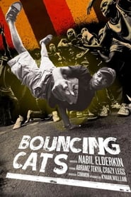 Bouncing Cats' Poster