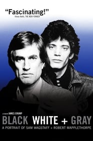 Streaming sources forBlack White  Gray A Portrait of Sam Wagstaff and Robert Mapplethorpe