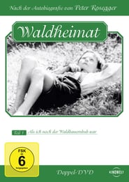 Als ich noch der Waldbauernbub war' Poster