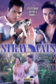Stray Cats' Poster