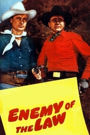 Enemy of the Law' Poster
