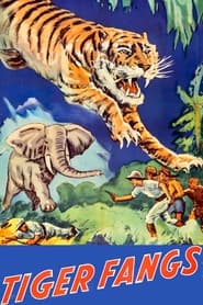 Tiger Fangs' Poster