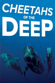 Cheetahs of the Deep' Poster