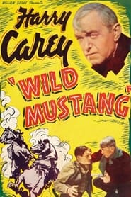 Wild Mustang' Poster