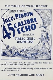 45 Calibre Echo' Poster