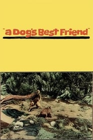 A Dogs Best Friend' Poster