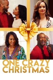One Crazy Christmas' Poster