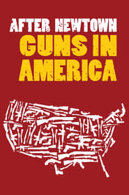 After Newtown Guns in America' Poster