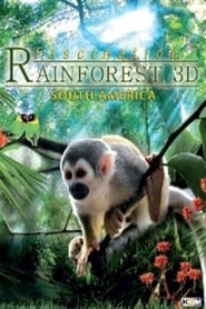 Fascination Rainforest 3D' Poster