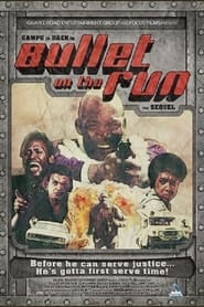Bullet on the Run' Poster