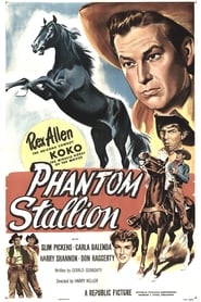Phantom Stallion' Poster