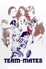 TeamMates' Poster
