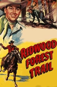 Redwood Forest Trail' Poster