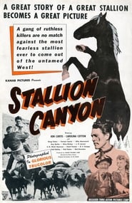 Stallion Canyon' Poster