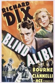 Blind Alibi' Poster