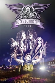 Aerosmith  Rocks Donington 2014' Poster