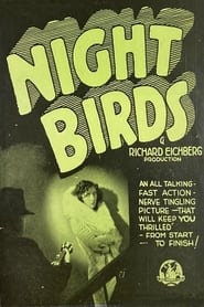 Night Birds' Poster