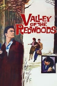 Valley of the Redwoods' Poster